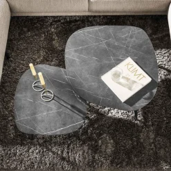 WoonStijl Salontafel set van 2 Rock shaped organisch Online