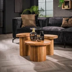 WoonStijl Salontafel Shape set van 3 acacia