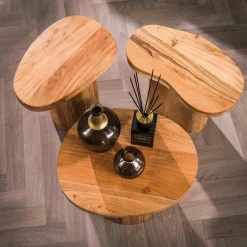 WoonStijl Salontafel Shape set van 3 acacia