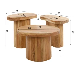 WoonStijl Salontafel Shape set van 3 acacia