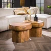 WoonStijl Salontafel Sleek mango set van 2 Discount