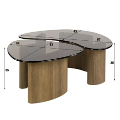 WoonStijl Salontafel Tinto organisch set van 2 salontafels met brons glas