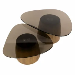 WoonStijl Salontafel Tinto driehoekig set set van 2 salontafels met brons glas Best