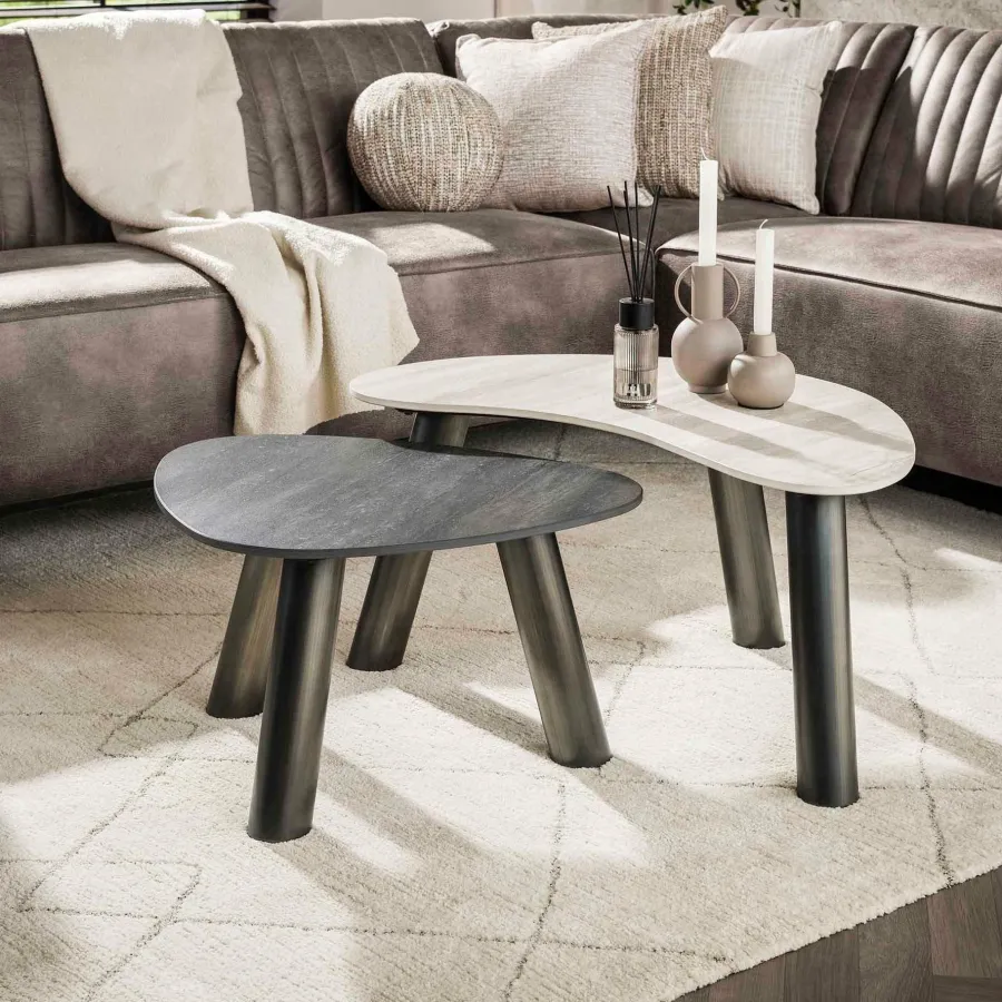 WoonStijl Salontafel Twin organisch set van 2 salontafels Sale