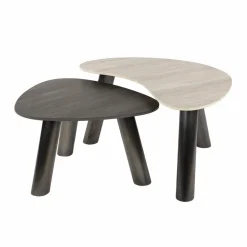WoonStijl Salontafel Twin organisch set van 2 salontafels Sale