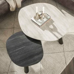 WoonStijl Salontafel Twin log set van 2 salontafels