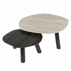 WoonStijl Salontafel Twin log set van 2 salontafels