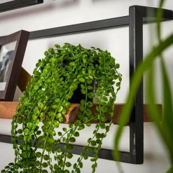 WoonStijl Set Wandplanken Live Edge Groot Online