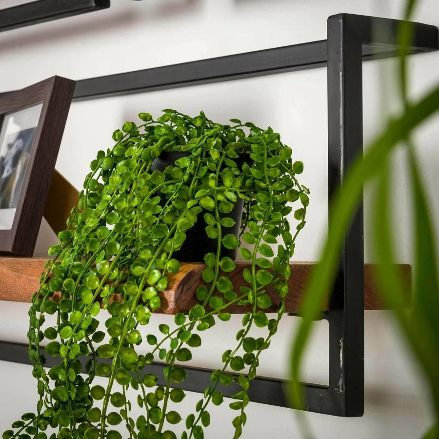 WoonStijl Set Wandplanken Live Edge Groot Online