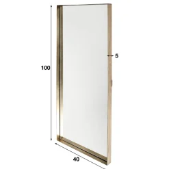 WoonStijl Spiegel 40x100 opstaande rand goudkleurig Best