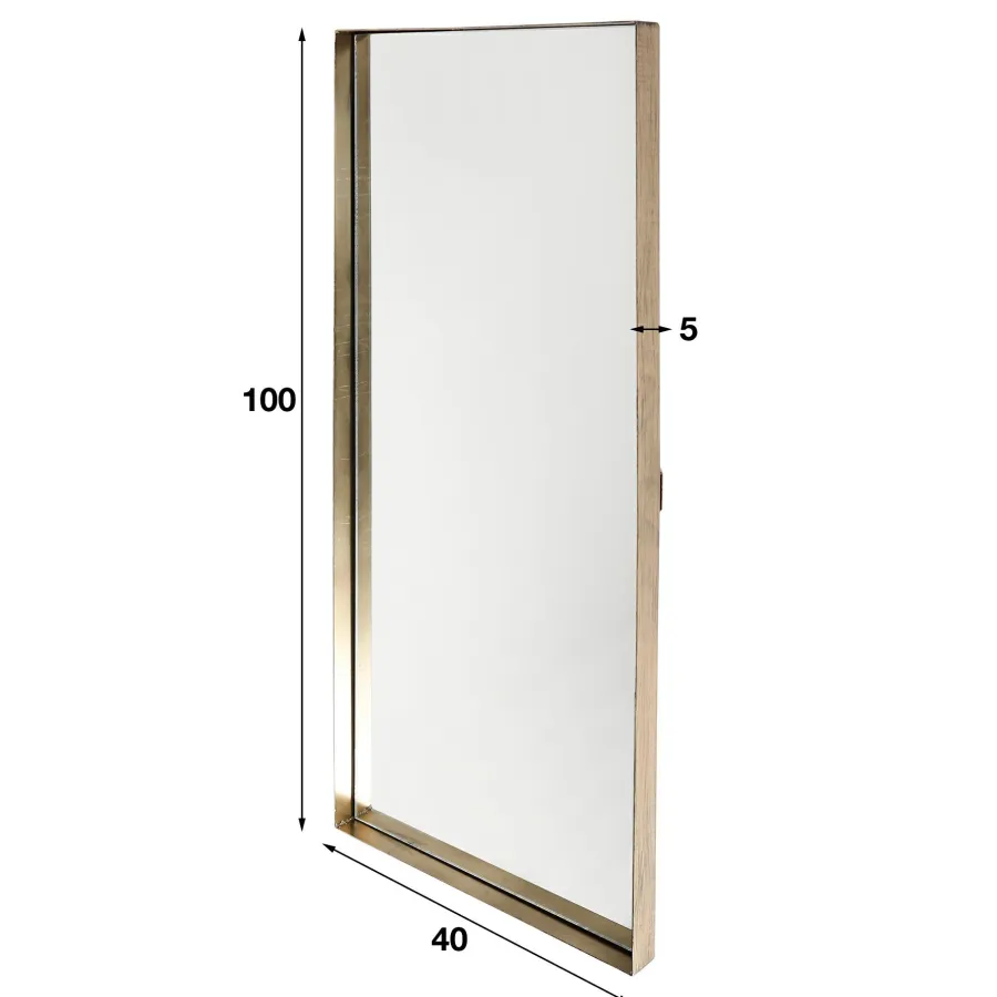 WoonStijl Spiegel 40x100 opstaande rand goudkleurig Best