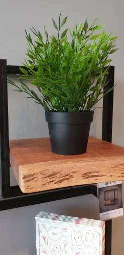 WoonStijl Wandplank Live Edge 30 cm breed Best