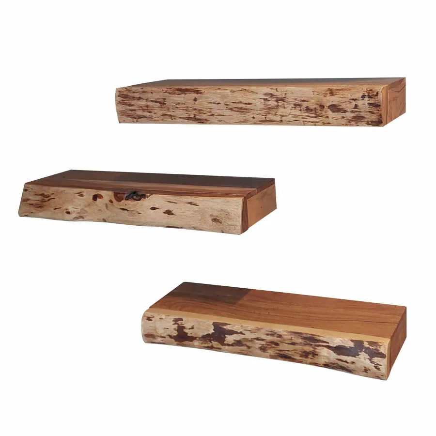 WoonStijl Wandschap Tree met lade set van 3 Hot