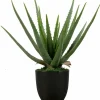 Woood AloË Vera Kunstplant Groen 46cm Discount