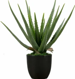 Woood AloË Vera Kunstplant Groen 46cm Discount