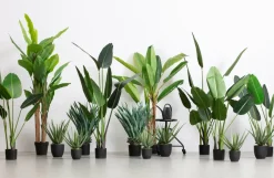 Woood AloË Vera Kunstplant Groen 46cm Discount