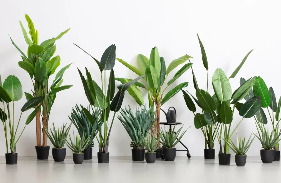 Woood AloË Vera Kunstplant Groen 46cm Discount
