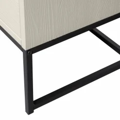 Woood Silas 2-deurs kast grenen dust [fsc] Clearance