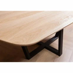 Woood Tablo eettafel organisch dl 220x100cm transparant [fsc] Online