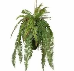 Woood Varen hangende kunstplant groen 58cm Discount
